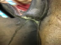 A Guy Fucked Female Horse in Ass Porn 2017 Part 1)